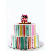 Торт Разноцветная сова