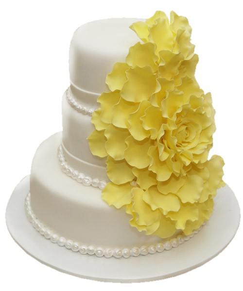 Торт желтые лепестки на белом