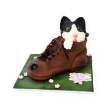 Торт В ботинке котик