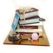 Торт Котики с книгами