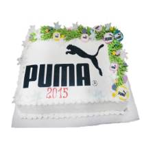 Торт С Новым годом Puma