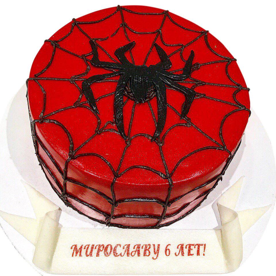 Торт паук в паутине
