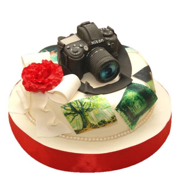 Аппетитные торты в виде фотоаппарата (фото)