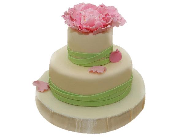 Торт розово-зеленая нежность на белом