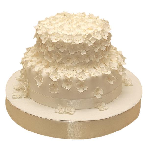 Торт цветы белоснежного флокса