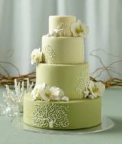 Торт с цветами красивый зеленый